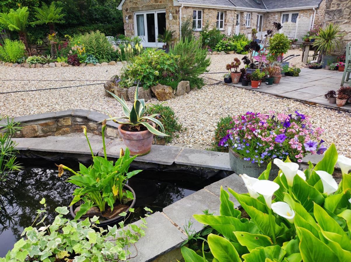 Tree Fern Barn Villa St Austell Luaran gambar